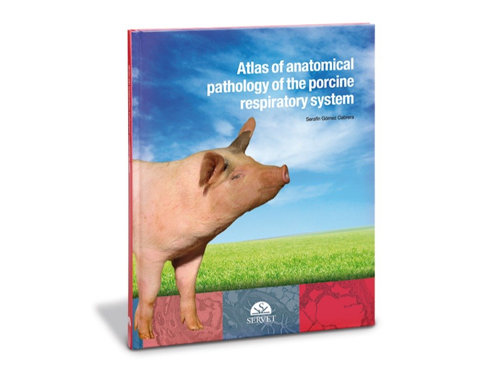 Atlas de anatomía patológica del aparato respiratorio del cerdo (2) Atlas de anatomía patológica del aparato respiratorio del cerdo (2)