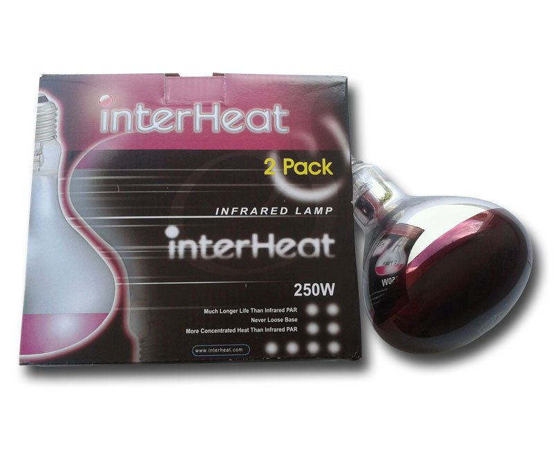 Bombilla Interheat 250 watt, roja, 2 uds Bombilla Interheat 250 watt, roja, 2 uds