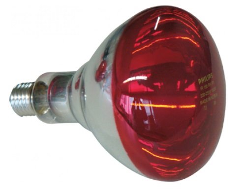 Bombilla Philips calefacción 150 watt, 1 und. Bombilla Philips calefacción 150 watt, 1 und.