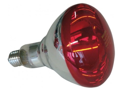 Bombilla Philips calefacción, 250 watt, blanca-roja (HG) (10 uds.) (2) Bombilla Philips calefacción, 250 watt, blanca-roja (HG) (10 uds.) (2)