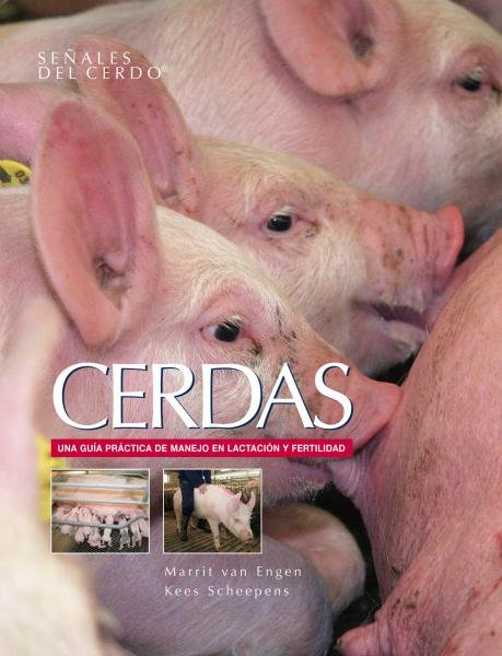 Cerdas (2) Cerdas (2)