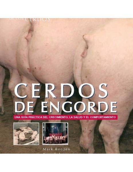 Cerdos de engorde (2) Cerdos de engorde (2)
