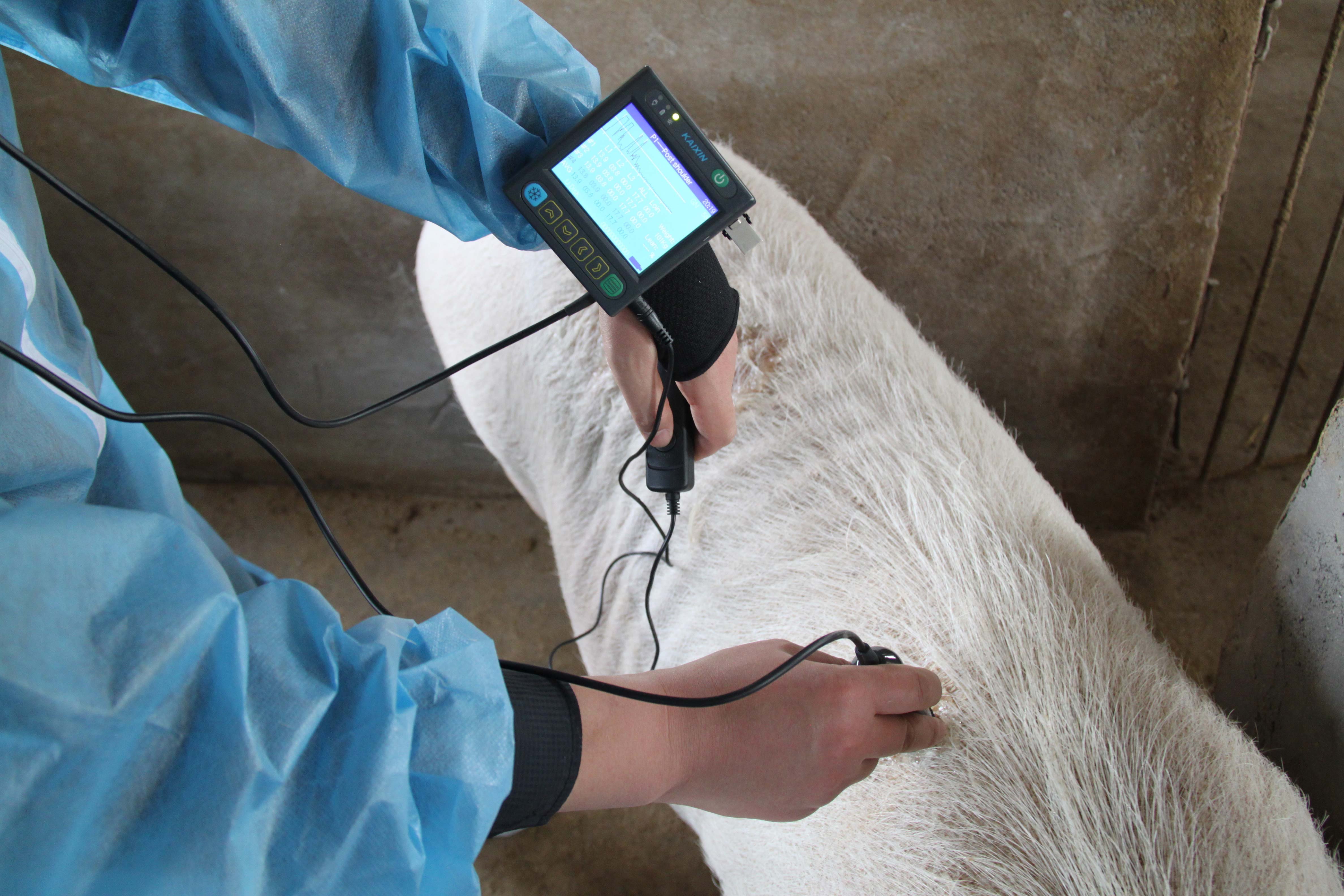 Ecógrafo Medidor Grasa Dorsal MSU3 3.5MHz (2) Ecógrafo Medidor Grasa Dorsal MSU3 3.5MHz (2)