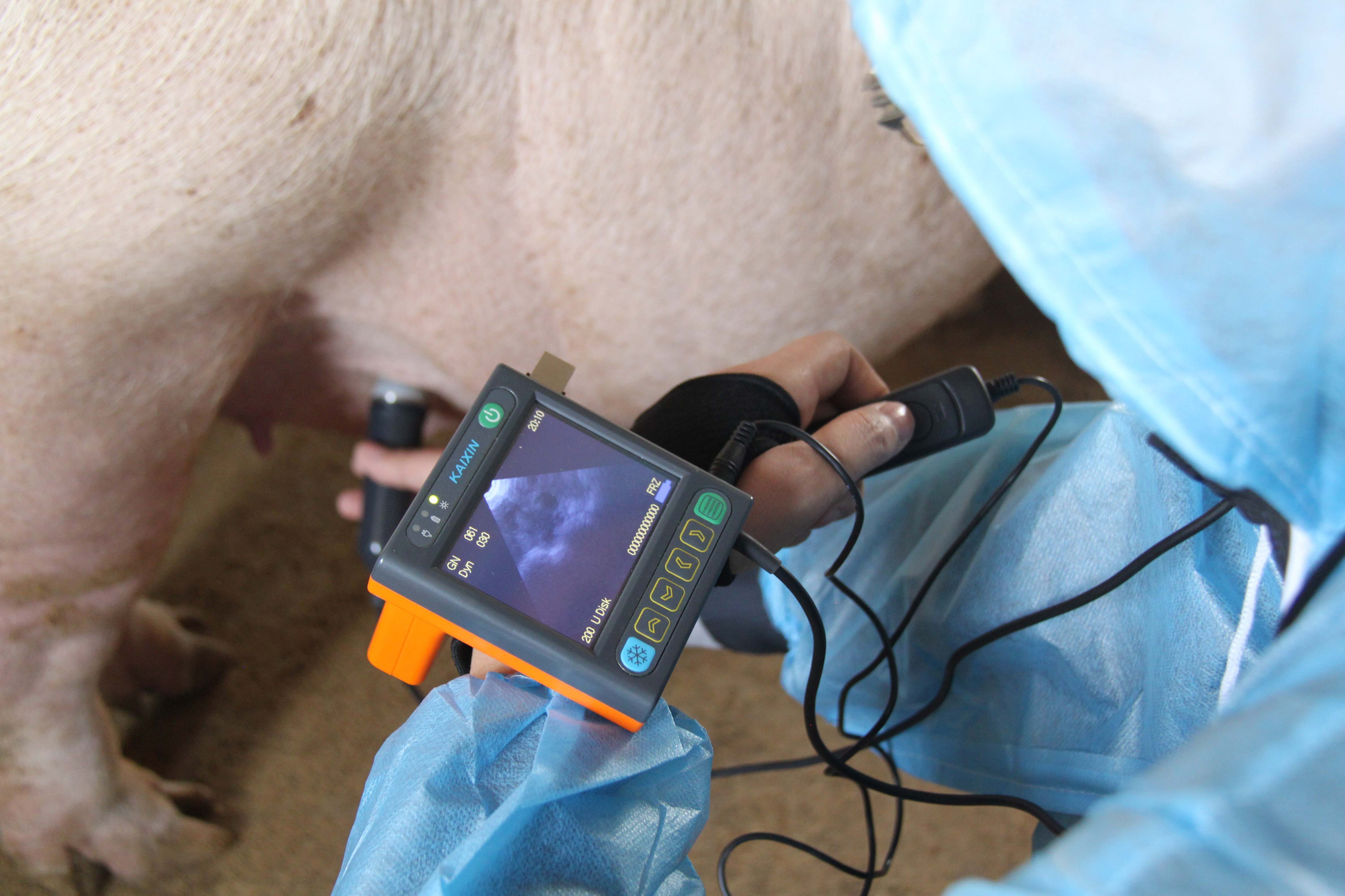 Ecógrafo Medidor Grasa Dorsal MSU3 3.5MHz (3) Ecógrafo Medidor Grasa Dorsal MSU3 3.5MHz (3)
