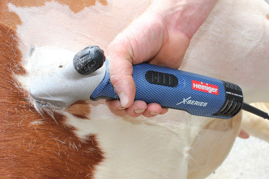 Esquiladora Heiniger Xperience para equino y vacuno (7) Esquiladora Heiniger Xperience para equino y vacuno (7)