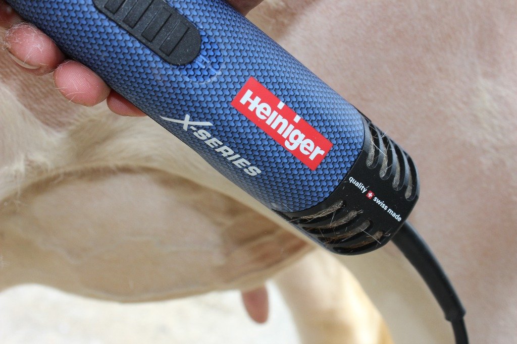 Esquiladora Heiniger Xperience para equino y vacuno (8) Esquiladora Heiniger Xperience para equino y vacuno (8)