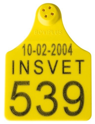 Hembra Boviplus para vacuno Hembra Boviplus para vacuno