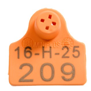 Hembra Miniplus para ovino y porcino Hembra Miniplus para ovino y porcino
