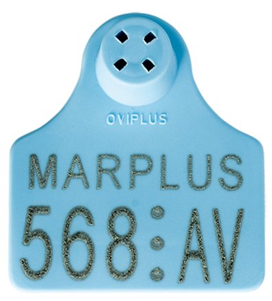 Hembra Oviplus para ovino y porcino Hembra Oviplus para ovino y porcino