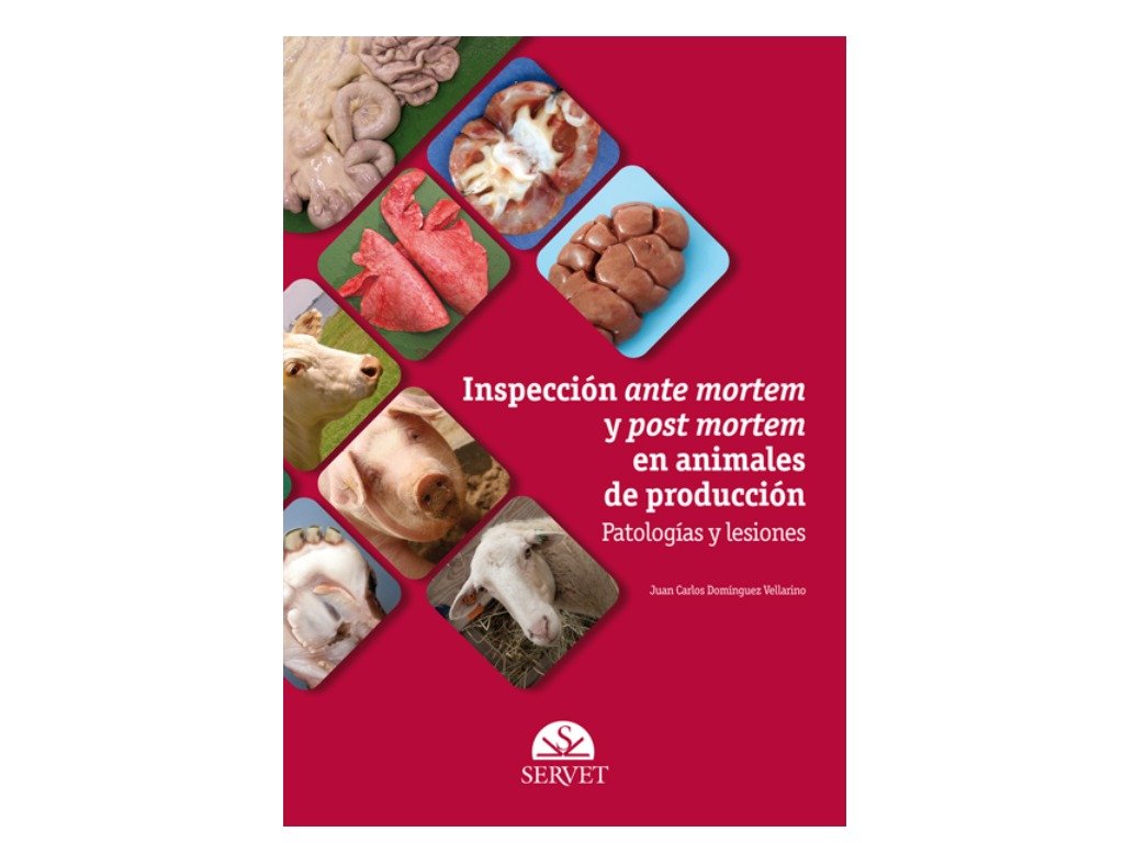 Inspección ante mortem y post mortem en animales de producción Inspección ante mortem y post mortem en animales de producción