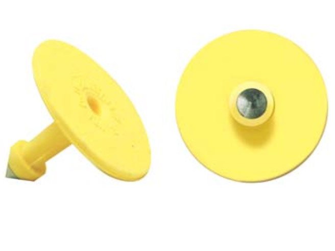 Macho Allflex punta de metal Macho Allflex punta de metal