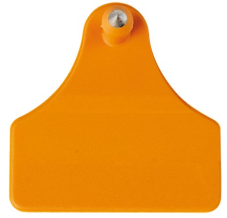 Macho Porciplus punta de metal para vacuno Macho Porciplus punta de metal para vacuno