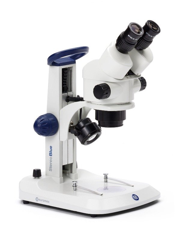 Microscopio estereoscópico EUROMEX StereoBlue Microscopio estereoscópico EUROMEX StereoBlue