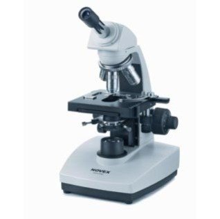 Microscopio NOVEX BMS LED con platina calefactora integrada (PID) Microscopio NOVEX BMS LED con platina calefactora integrada (PID)