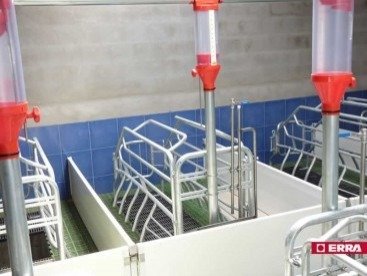 Paridera Erra galvanizada con balancines Modelo R (5) Paridera Erra galvanizada con balancines Modelo R (5)
