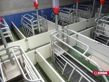 Paridera Erra galvanizada con balancines Modelo R (7) Paridera Erra galvanizada con balancines Modelo R (7)