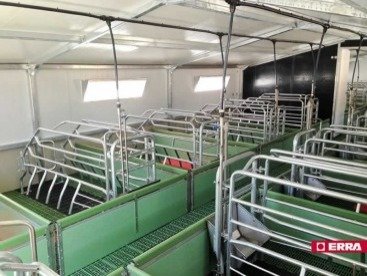 Paridera Erra galvanizada sin balancines Modelo R (6) Paridera Erra galvanizada sin balancines Modelo R (6)