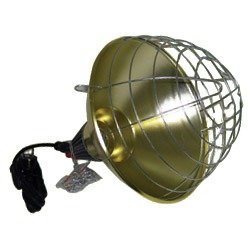 Protector de bombilla Interheat, cable 2,5 metros, modelo grande 10 unidades (2) Protector de bombilla Interheat, cable 2,5 metros, modelo grande 10 unidades (2)