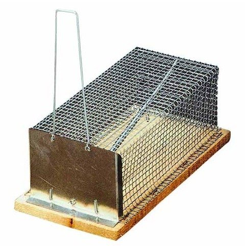 Ratonera ecológica Ratonera ecológica