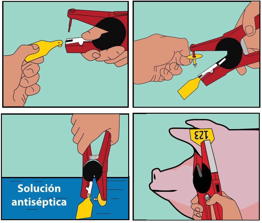 Tenaza para crotalar Allflex (7) Tenaza para crotalar Allflex (7)