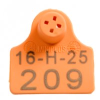 Hembra Miniplus para ovino y porcino Hembra Miniplus para ovino y porcino