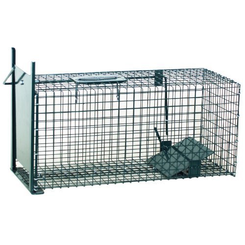 Trampa captura, 61x21x21 cm (2) Trampa captura, 61x21x21 cm (2)