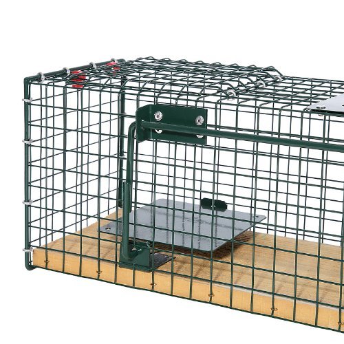 Trampa para animales vivos 55x15x19 cm (3) Trampa para animales vivos 55x15x19 cm (3)