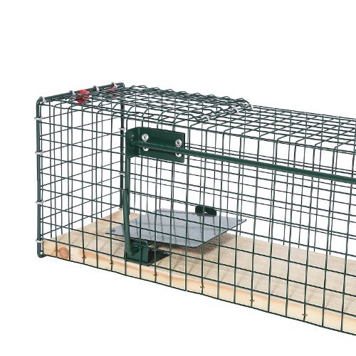 Trampa para animales vivos 80x15x19 cm (3) Trampa para animales vivos 80x15x19 cm (3)