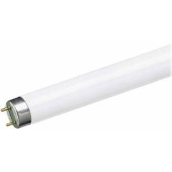 Tubo fluorescente t8 trifosforo 865 36W Tubo fluorescente t8 trifosforo 865 36W