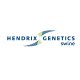 Hendrix Genetics Swine | Latinoamérica