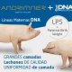 Andrimner Genética Aplicada S.L.U.