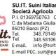 Vito Antonio Loiudice Loiudice