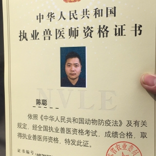 葱23