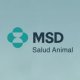 MSD LATAM