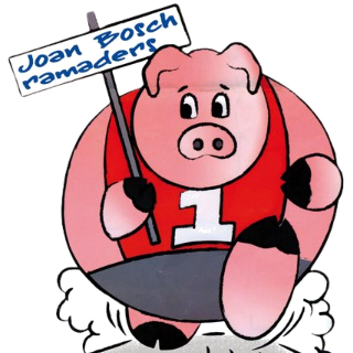 Joan Bosch Novell