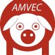 AMVEC,A.C.