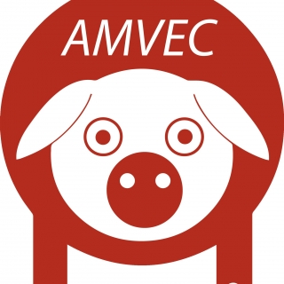 AMVEC,A.C.