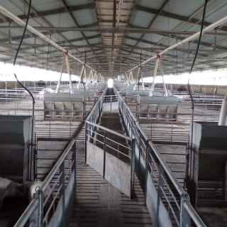 Luis David Enríquez Padilla 