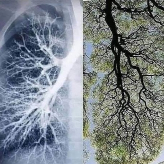 Irving  Arroyo Gonzalez 