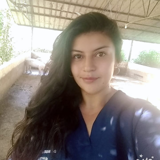 Dennise Jiovana Garzón López
