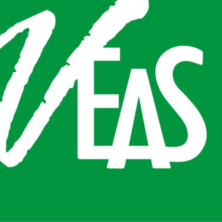 VEAS Co., Ltd 