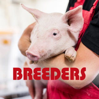 Breeders of Denmark A/S - Danish Genetics Partner