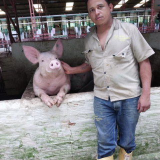 Javier  rojas 