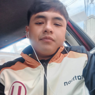 dario richard fernandez flores