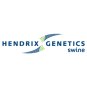 Hendrix Genetics Swine