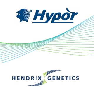 Hypor España