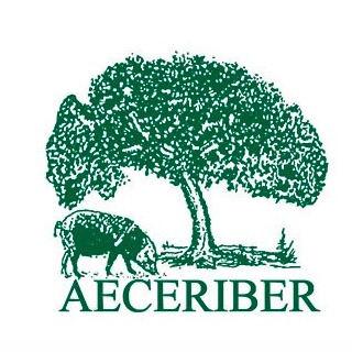 AECERIBER