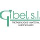 Gibel