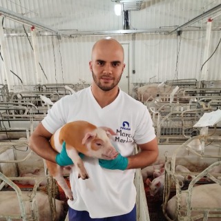Marco  Martín 