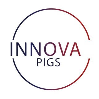 Innova Pigs